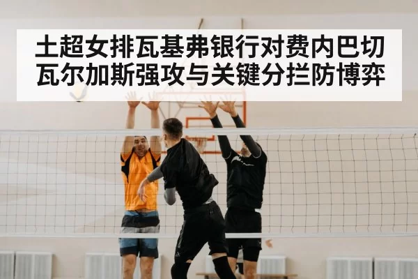 volleyball block net